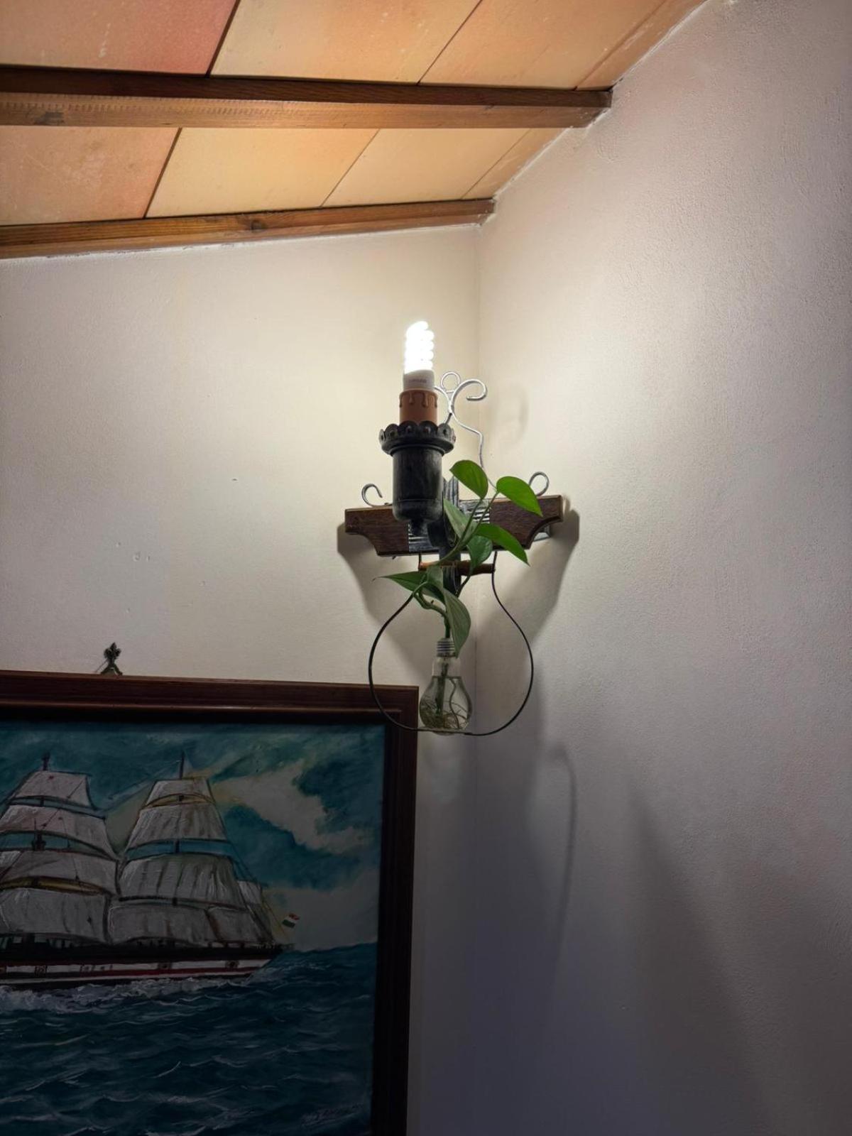 B&B Le Macine 1868 파세코 외부 사진